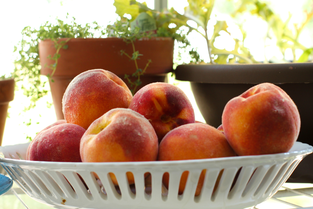 A basketful of farm fresh peaches