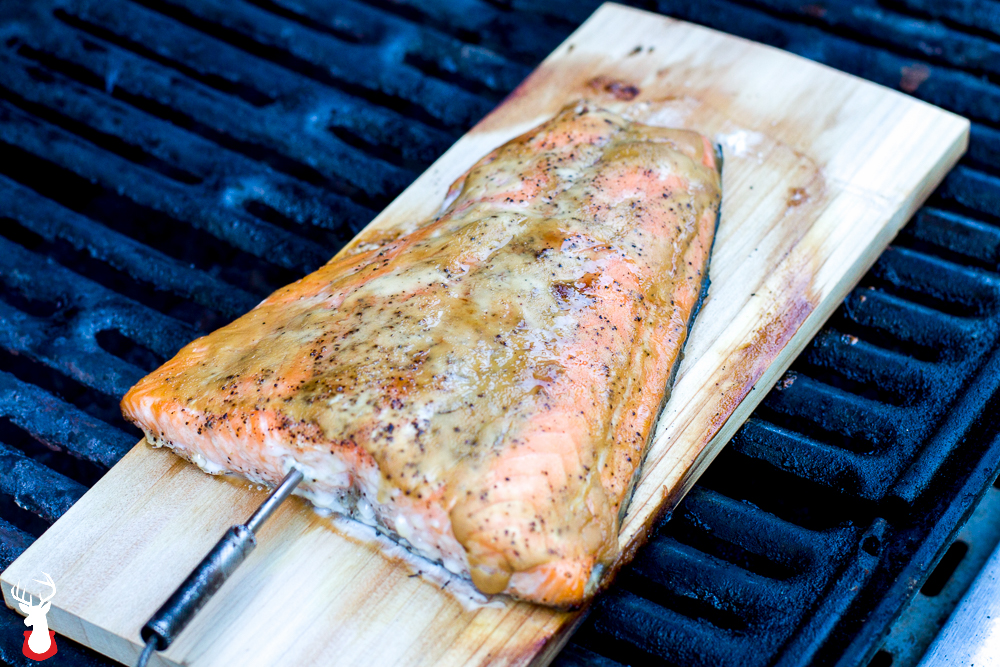 Grilled Plank Salmon with a Mustard Brown Sugar Glaze