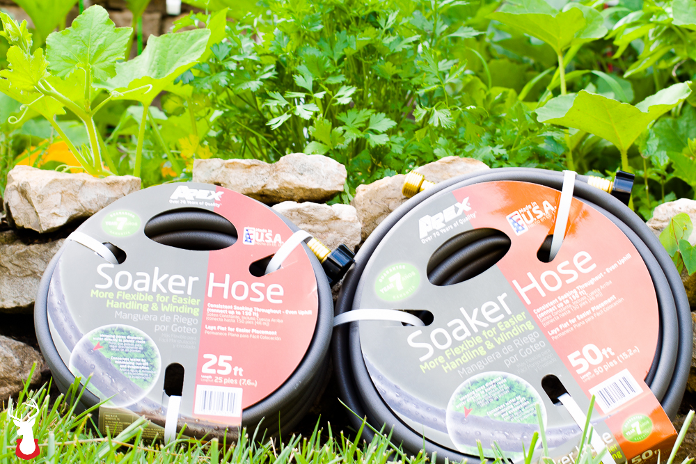 Our garden’s secret: the soaker hose