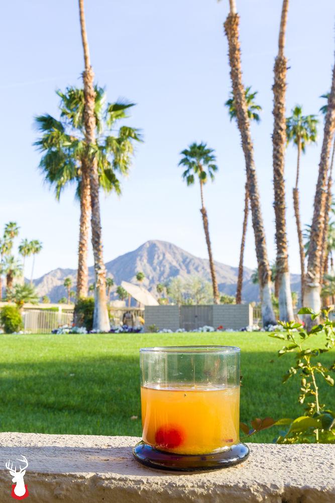 Palms Springs Whiskey Sour