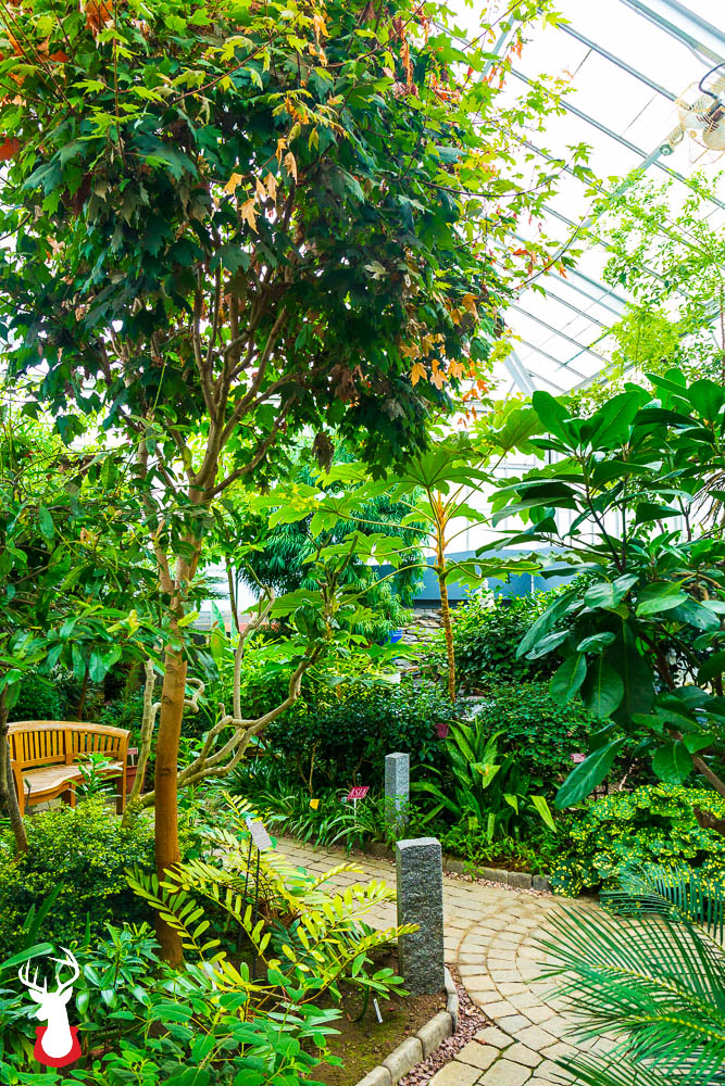 The Lyman Plant House & Conservatory at Smith College is open year-round.